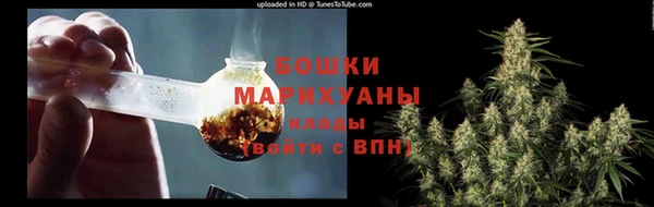 стафф Володарск