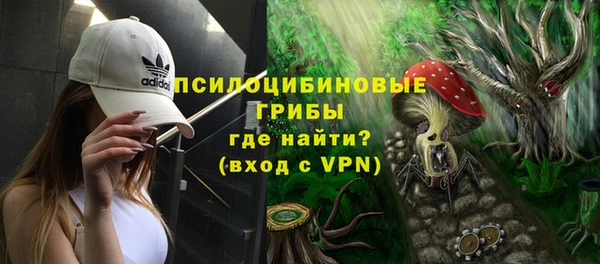 стафф Володарск