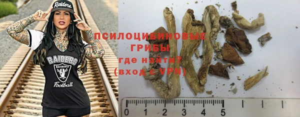 стафф Володарск
